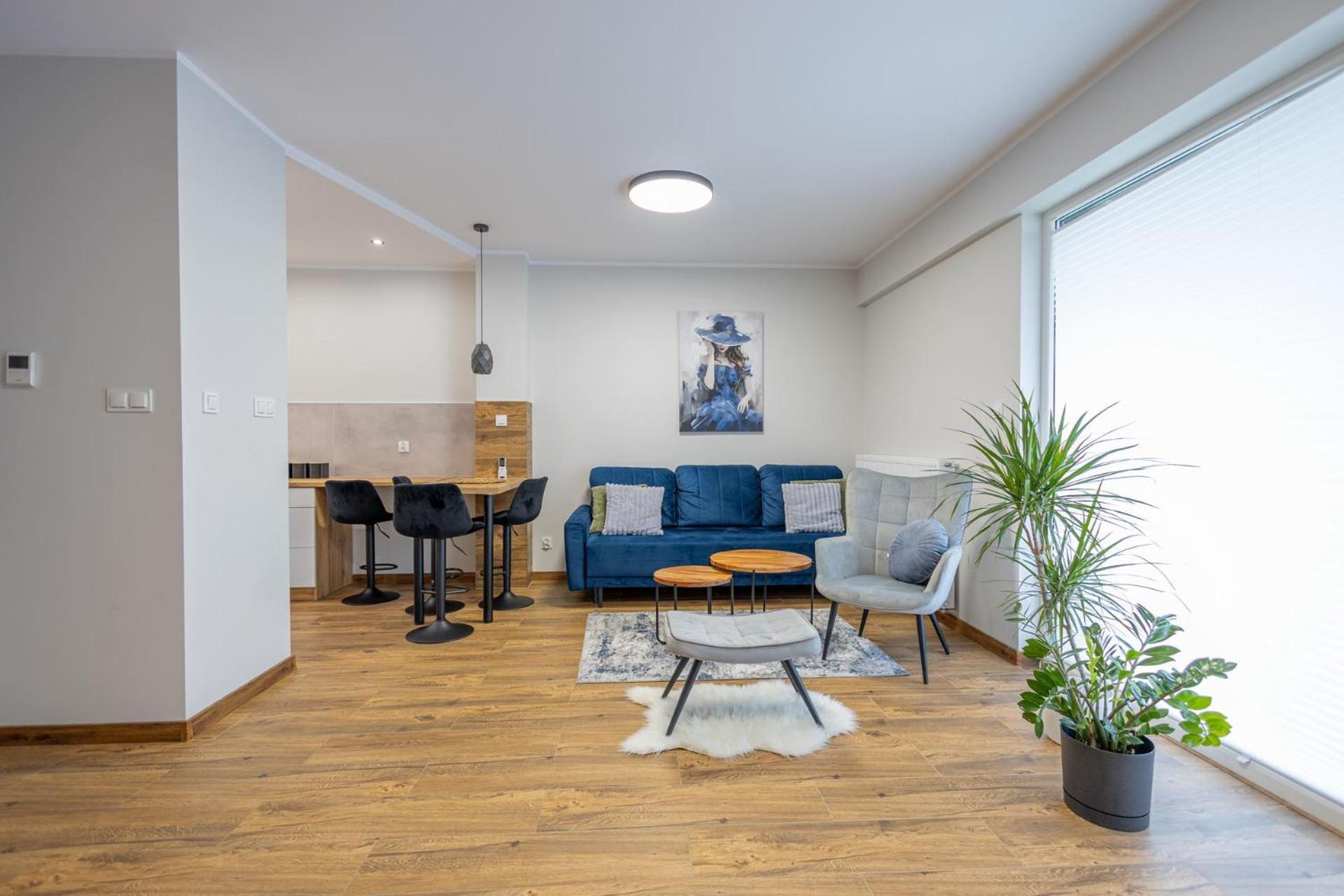 Vip Wieniawskiego Apartment *