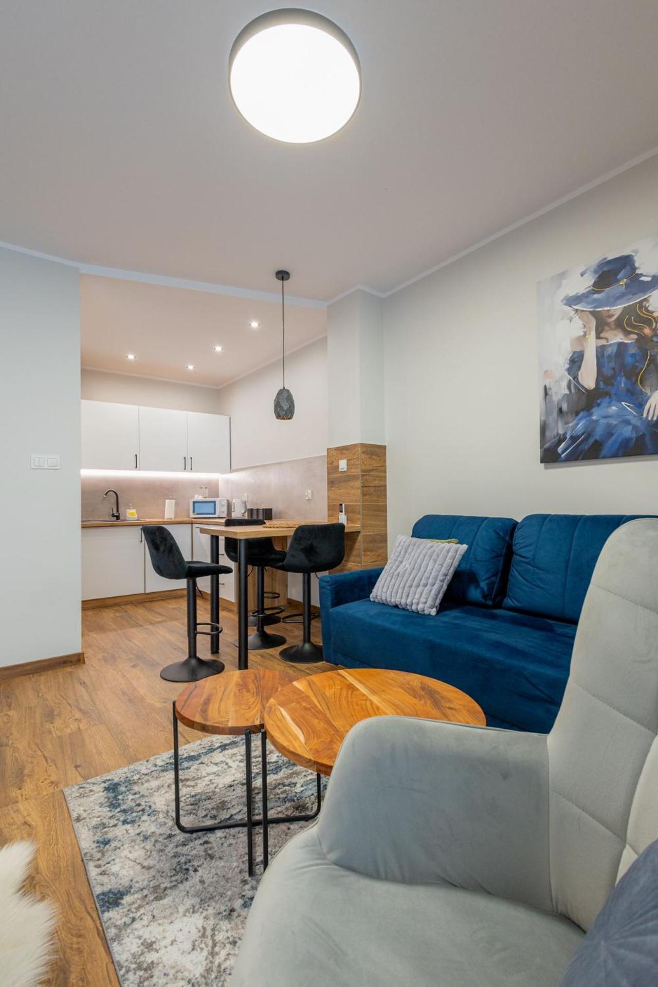 Vip Wieniawskiego Apartment
