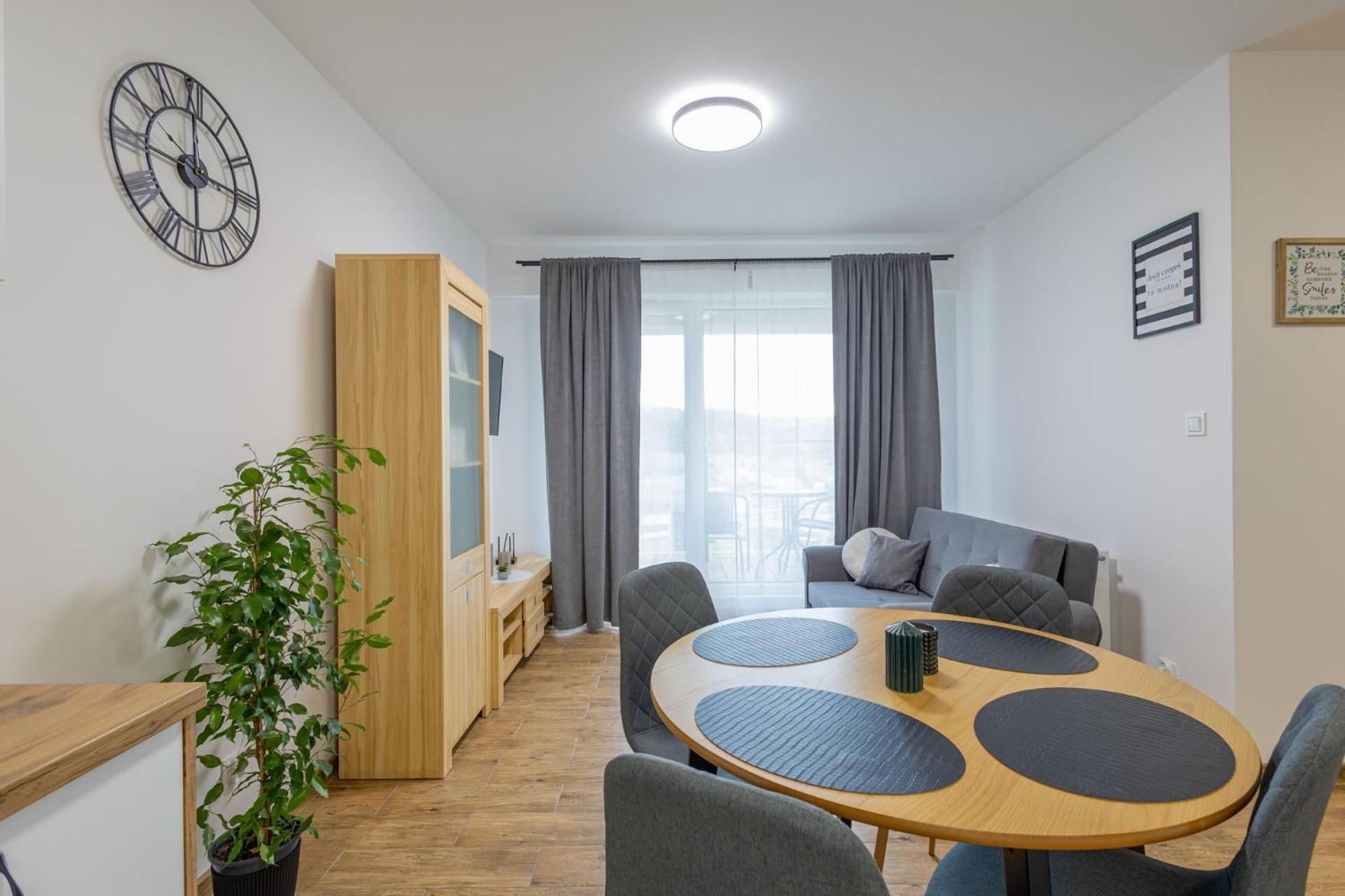 Vip Wieniawskiego Apartment